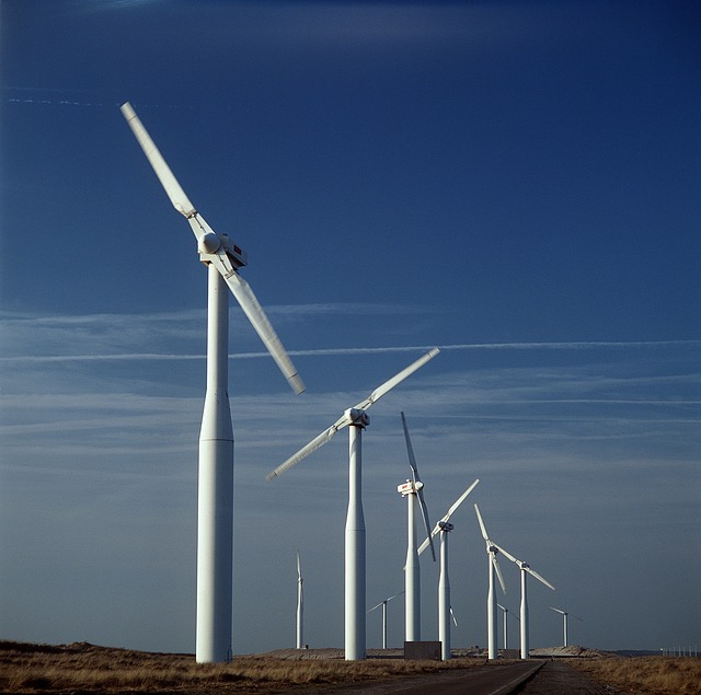 Survey finds strong public support for renewable energy in the UK